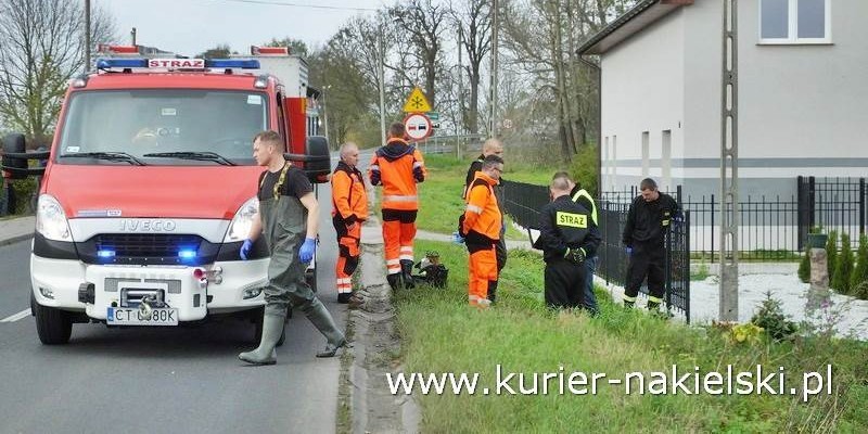 W sobotę około godziny 13 policjanci z Nakła zostali...