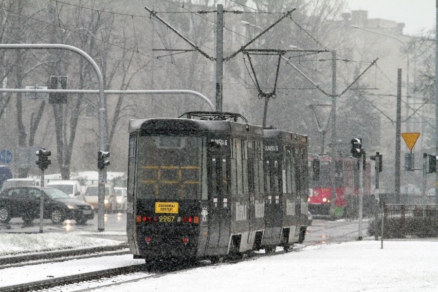 Śnieżyca we Wrocławiu. Atak zimy w mieście (FILM, ZDJĘCIA, PROGNOZA)