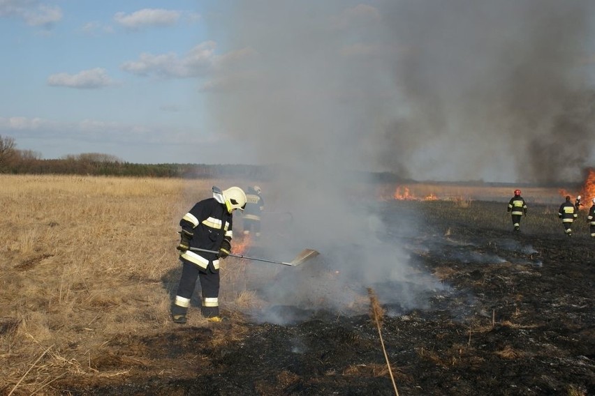Pożar traw w Woli Wapowskiej