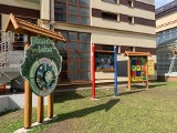 Modlnica. Przyrodnicza ścieżka edukacyjna powstała przy na szkolnym podwórku. Dzieci mogą poznawać drzewa rośliny i leśne zwierzęta