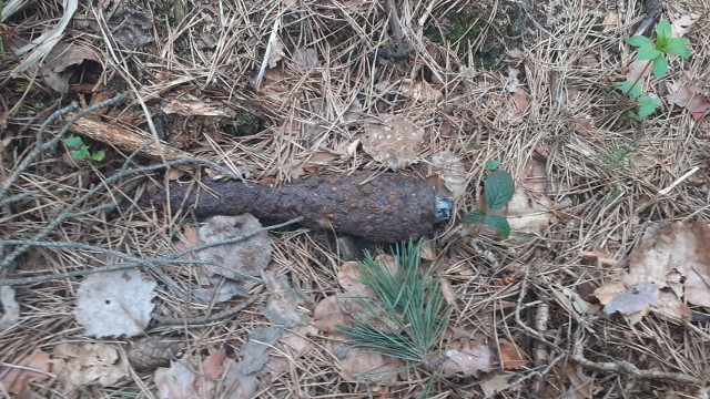 Granat moździerzowy  z czasów II wojny światowej znaleziony w lesie w Tenczynku