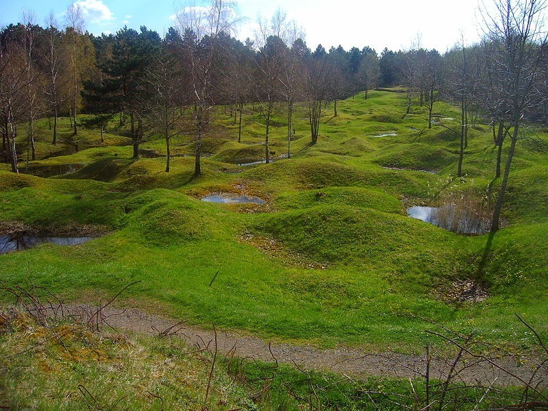 Pole bitwy pod Verdun współcześnie.