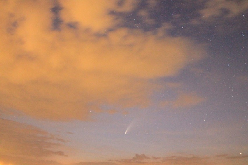 Kościelec, Pławowice. Naszemu Czytelnikowi udało się sfotografować kometę. Astronomowie podpowiadają, kiedy można ją zobaczyć