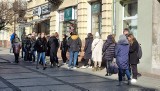 Tłusty czwartek 2022. Tłumy ludzi przed cukierniami w Kielcach. Zobacz zdjęcia 