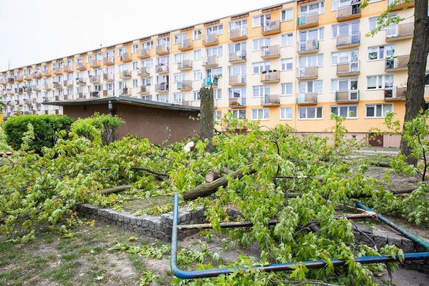 Niezabudowana działka w mieście to cenny kąsek dla...