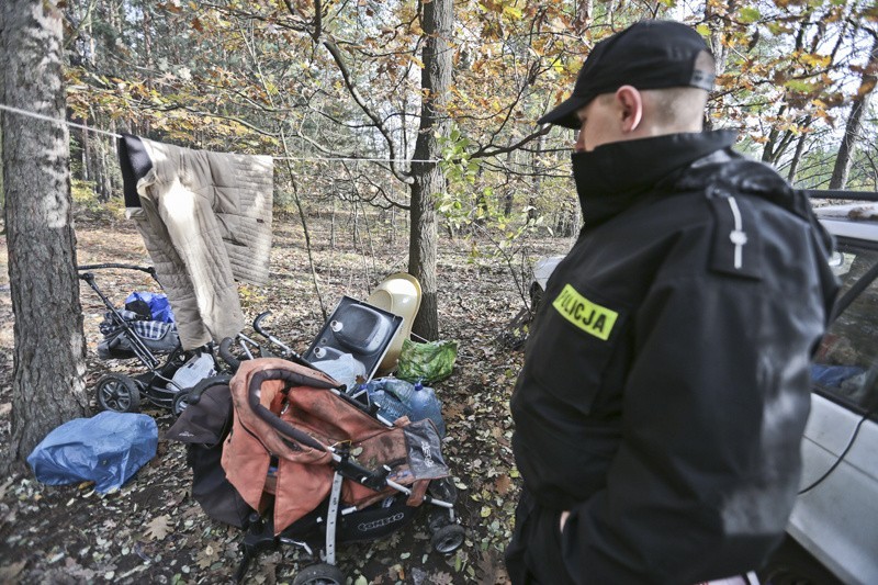 Obozowisko powstało w lesie przy Trasie Północnej.