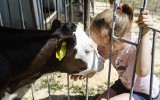 Tłumy na wystawie zwierząt hodowlanych i maszyn rolniczych - drzwi otwarte PODR w Boguchwale [ZDJĘCIA]