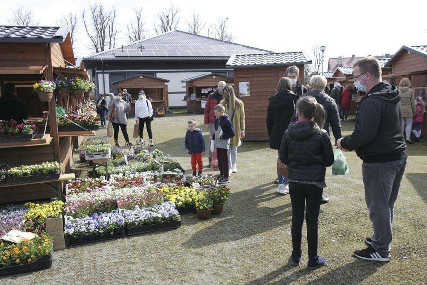 Bazarek Natury w Krępie Słupskiej