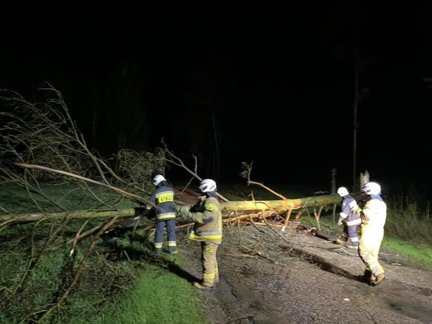 Strażacy usuwali drzewo zalegające na drodze Sokoły -...