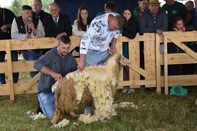 Agropromocja w Stary Sączu to wydarzenie dla całych rodzin. Wystawę można odwiedzić jeszcze w niedzielę