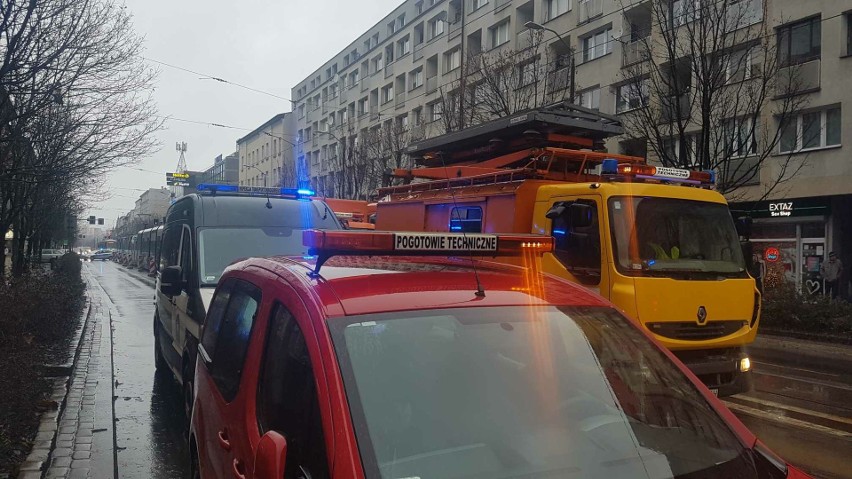 Do zdarzenia doszło po godz. 9 w Szczecinie