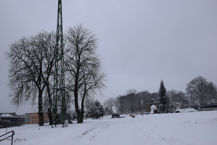 Zima w Parkach Podjasnogórskich. Tłumy częstochowian wybrały się na sanki. Jest też 2-metrowy bałwan, a służby miejskie walczą ze śniegiem
