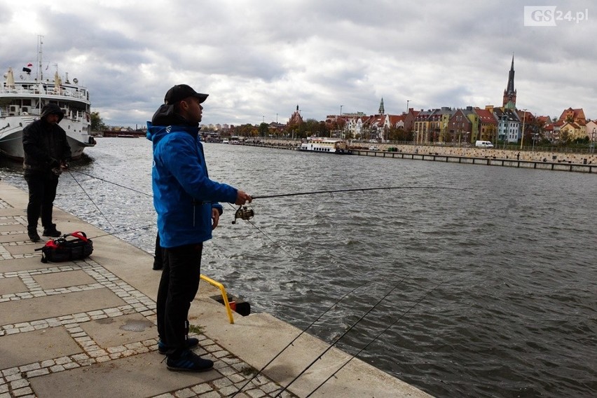 Wędkarze opanowali Szczecin. Łapią taaaakie ryby [ZDJĘCIA, WIDEO]                        