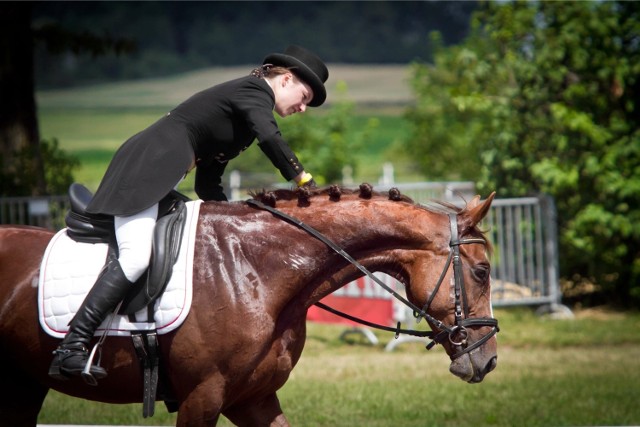 Na Opolszczyźnie mamy około 800 koni sportowych, oprócz tego setki kolejnych w gospodarstwach agroturystycznych i prywatnych stajniach, w których można skorzystać z przejażdżek konnych i lekcji jazdy. Mamy także jedyny ośrodek przygotować  do igrzysk olimpijskich.