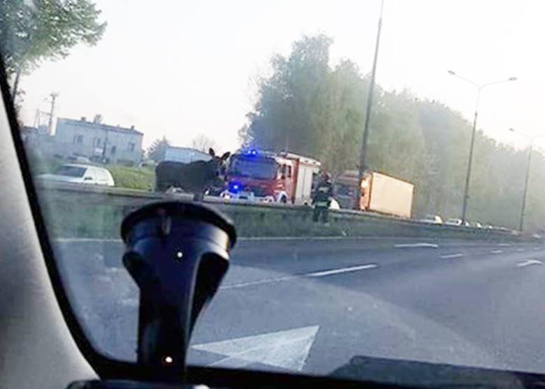 Na miejscu pojawiła się straż pożarna i policja. Łoś...