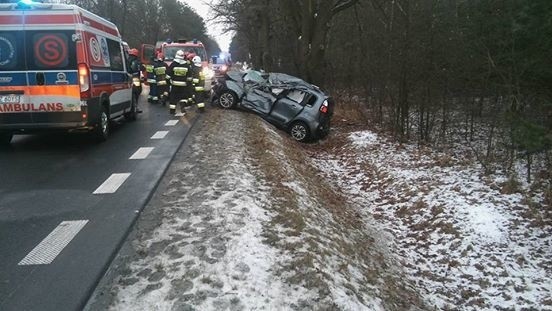 Wypadek w Bożówce w gminie Magnuszew. Samochód uderzył w drzewo. Zginął 64 - letni kierowca