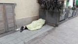 Koronawirus - Toruń: Co z osobami bezdomnymi? Na jaką pomoc mogą liczyć?