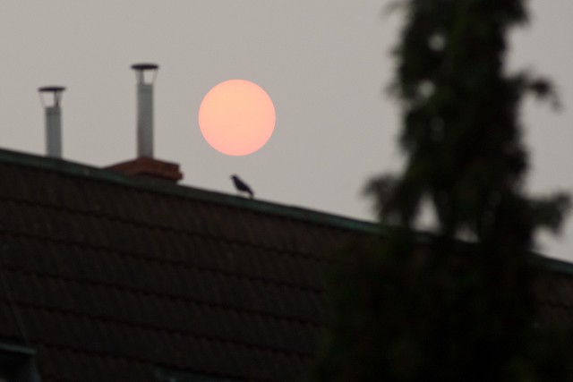 Zanieczyszczenia sprawią, że  wieczorem możemy zobaczyć nietypowy, krwisto czerwony zachód Słońca.