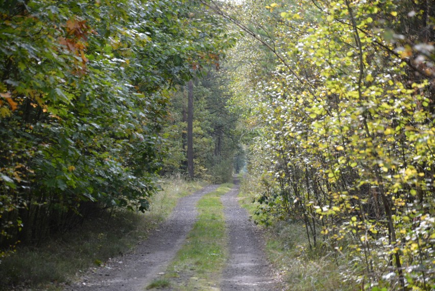 Mężczyzna prawdopodobnie zmarł z przyczyn naturalnych.