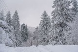 Rytro. Piękna zima w Beskidzie Sądeckim. Ośnieżone góry i lasy [ZDJĘCIA] 