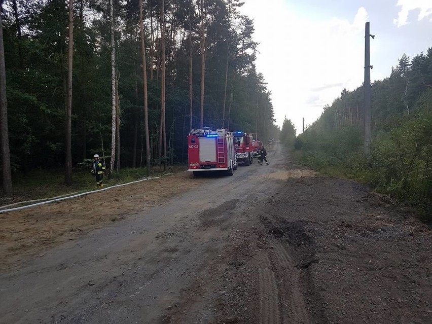 Strażacy z Rybnika, Żor, Zabrza i Raciborza przyjechali na symulowany pożar lasu ZDJĘCIA
