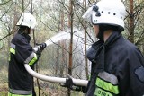 Zakaz wstępu do lasów w powiecie inowrocławskim! Gorączki i ciepły wiatr wysuszyły ściółkę