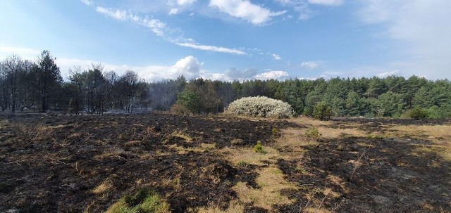 Oto tragiczne skutki pożaru w miejscowości Młyny, gmina Busko-Zdrój (13 kwietnia).