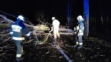 Wichura w gminie Połczyn-Zdrój. Strażacy z OSP w akcji [ZDJĘCIA]