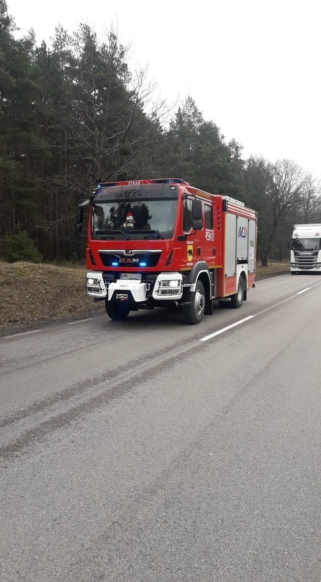 Białogrądy. Tragiczny wypadek na DK 65. Kierowca busa zginął na miejscu [ZDJĘCIA]