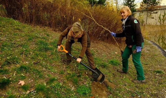 Podlaska niespodzianka dla goryli. Leśnicy z Nadleśnictwa Bielsk odwiedzili warszawskie ZOO (zdjęcia) 