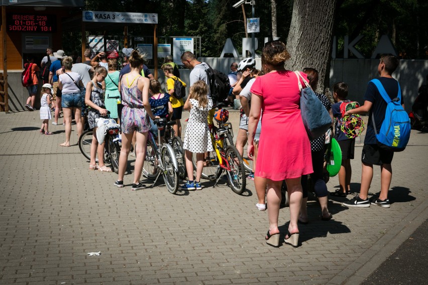 Rekordowy sezon na Arkonce. Szczecinianie uwielbiają baseny! 