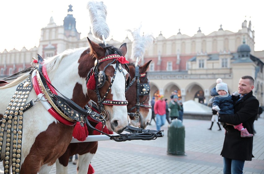 Weekendowe spacery – krakowski Rynek [ZDJĘCIA]