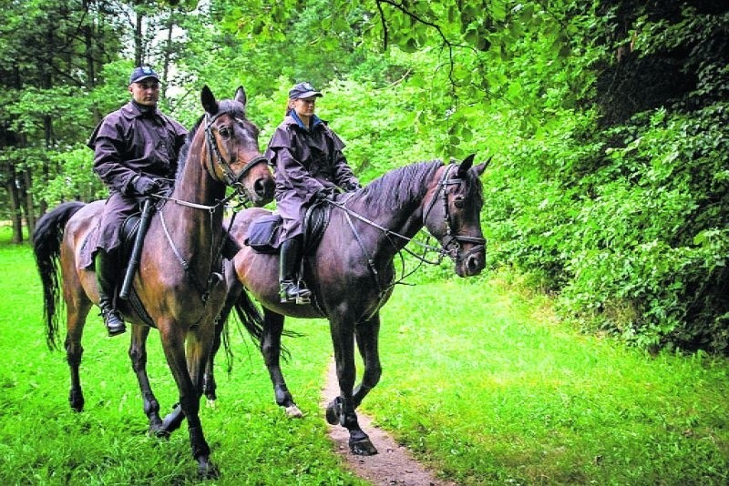 Policja nad Zalewami Sulejowskim i Jeziorsko. Patrole na koniach i motorówkach