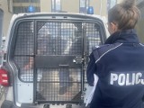 28-letni stalker nachodził swoją byłą partnerkę. Trafił do aresztu w Gnieźnie