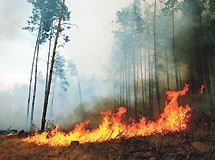 Pomorze w ogniu wojsko w gotowości