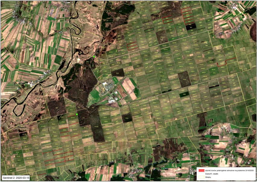 Zdjęcia satelitarne pogłębionych rowów na Bagnie Wizna