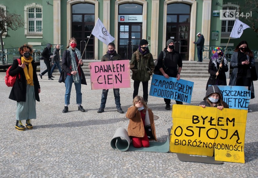 "Alarm klimatyczny". Ekologiczny protest przeciwko wycince drzew przed Urzędem Miasta w Szczecinie