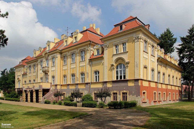 W pałacu może być hotel, ośrodek dla seniorów lub mieszkania.