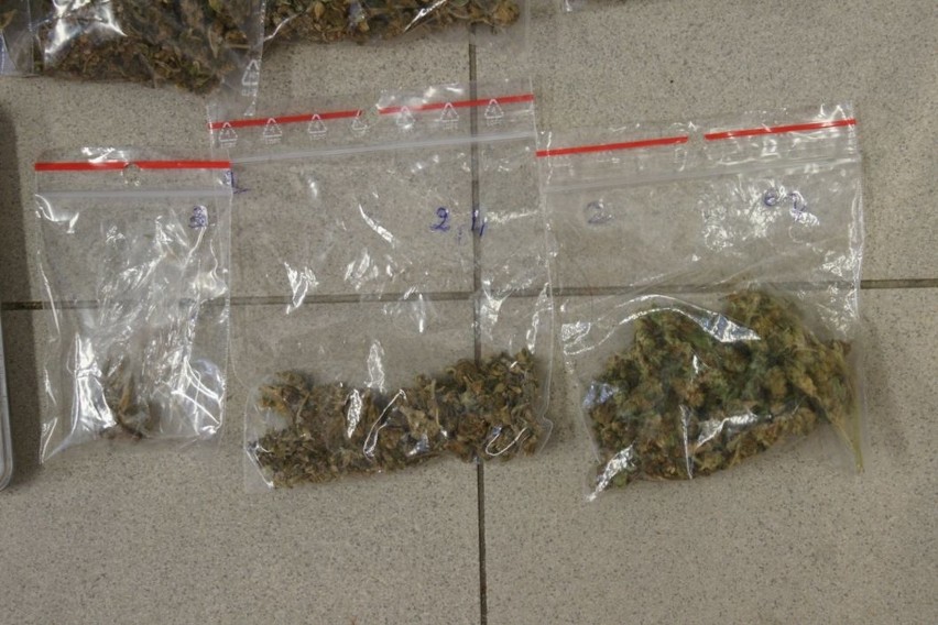Policjanci zabezpieczyli 35 gram suszu marihuany