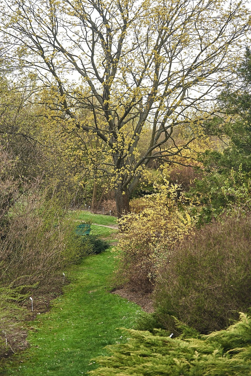 Ogród Botaniczny UMCS już otwarty (ZDJĘCIA)