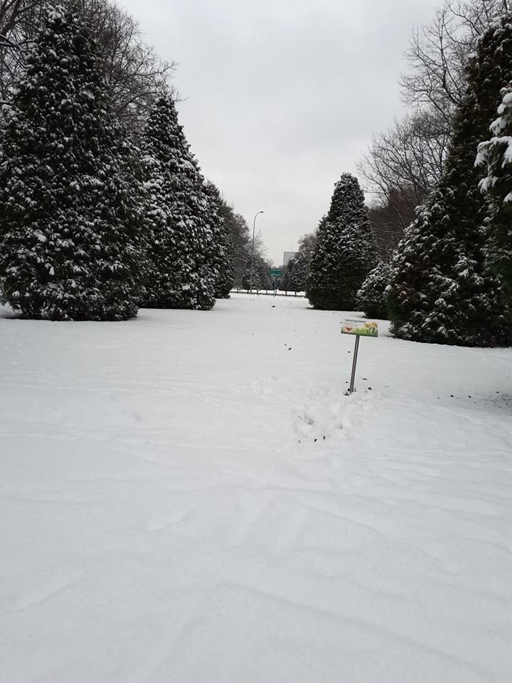 Zima w Białymstoku 2018: Internauci przesłali zdjęcia miasta zasypanego śniegiem