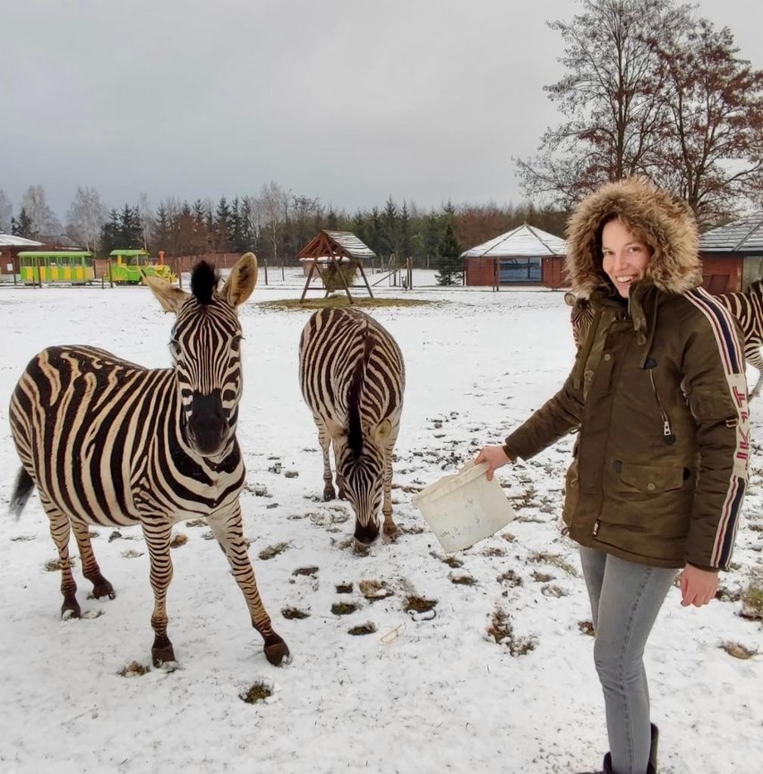 Dzień Zebry. Poznajcie niesamowitą historię Ayi z Zoo Borysew koło Poddębic. Nie uwierzysz, jakie przeżycia ma za sobą ZDJĘCIA