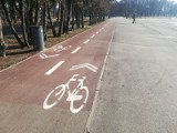Dróg rowerowych w Pabianicach będzie o blisko 14 kilometrów więcej