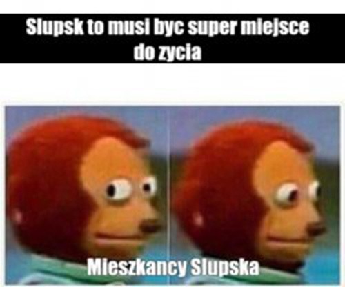 Memy o Słupsku