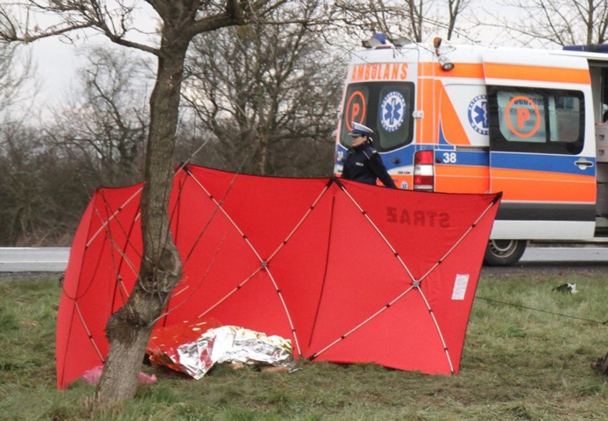 Tragedia pod Lipnem. 16-latka szła poboczem, śmiertelnie potrącił ją samochód osobowy [5 stycznia 2019]