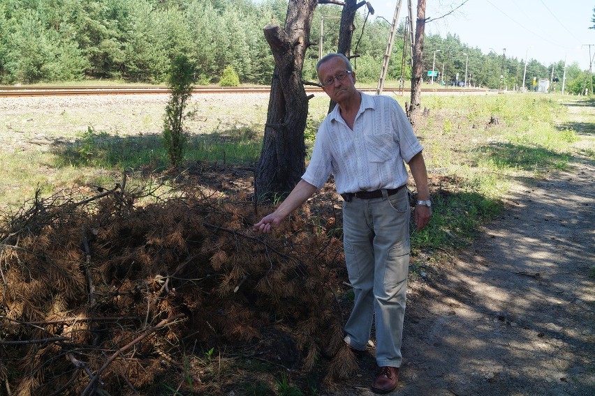 Bukowno. Suche gałęzie zalegają przy lesie, ludzie boją się pożaru