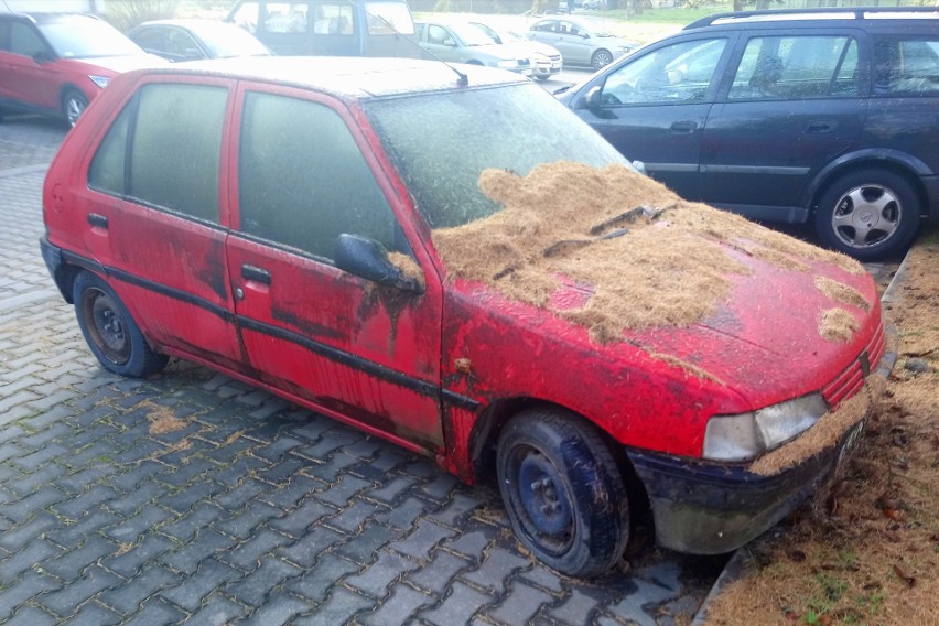 os. Bohaterów Września 16 Peugeot 106