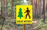 Zakaz wstępu do lasu w Nadleśnictwie Miradz. Powodem zabieg agrolotniczy zwalczający szkodnika
