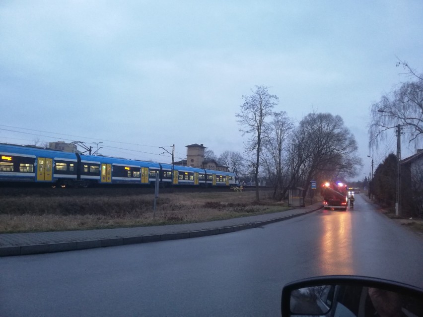 Potrącenie w Gołonogu