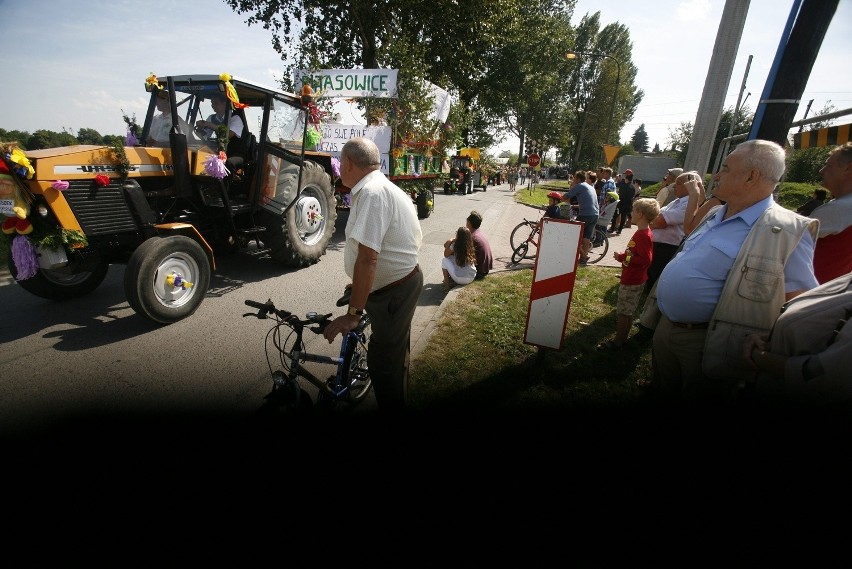 Dożynki województwa śląskiego w Bieruniu [ZDJĘCIA]